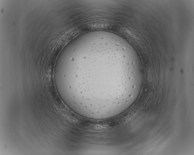 X0000067340737200604131725