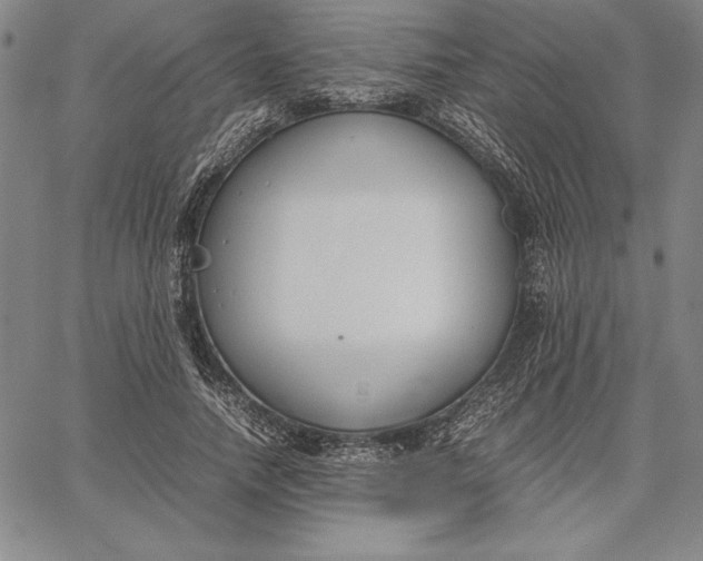 X0000067340738200604131725