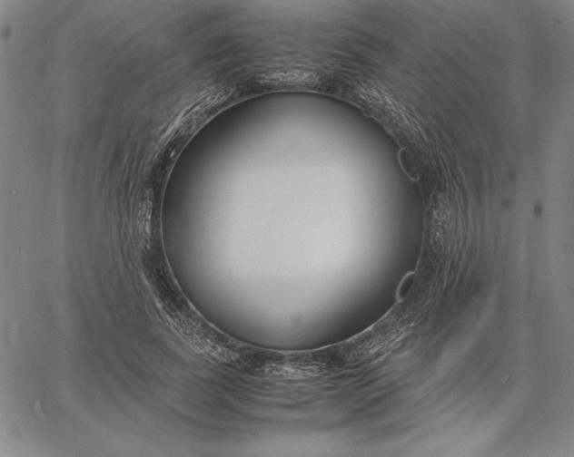 X0000067340739200604131725