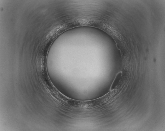 X0000067340740200604131725