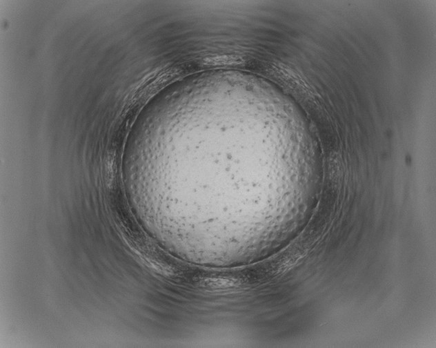 X0000067340741200604131725