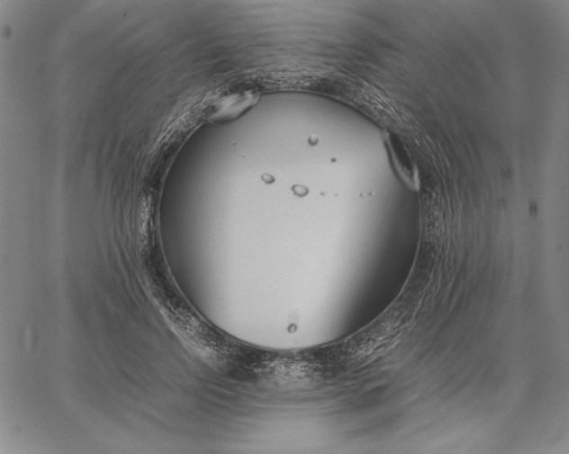 X0000067340742200604131725