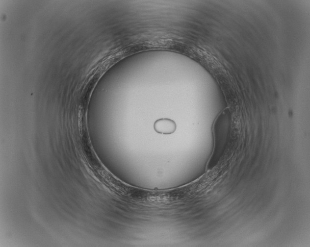 X0000067340744200604131725