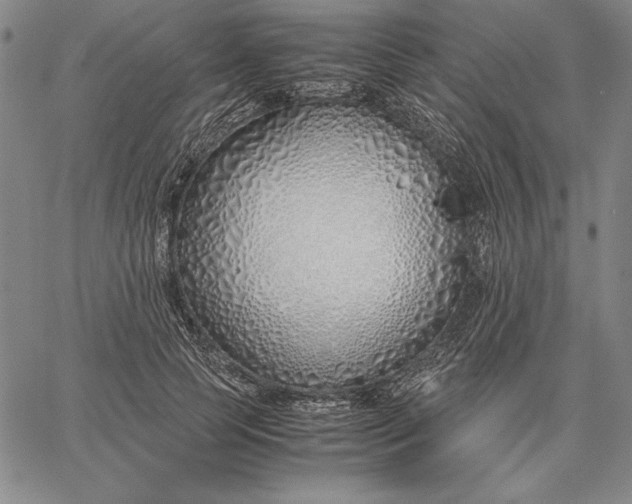 X0000067340745200604131725