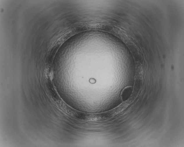 X0000067340746200604131725