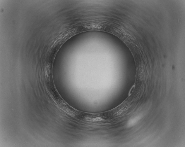 X0000067340747200604131725