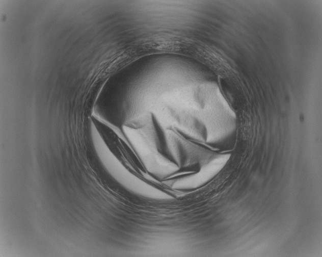 X0000067340748200604131725