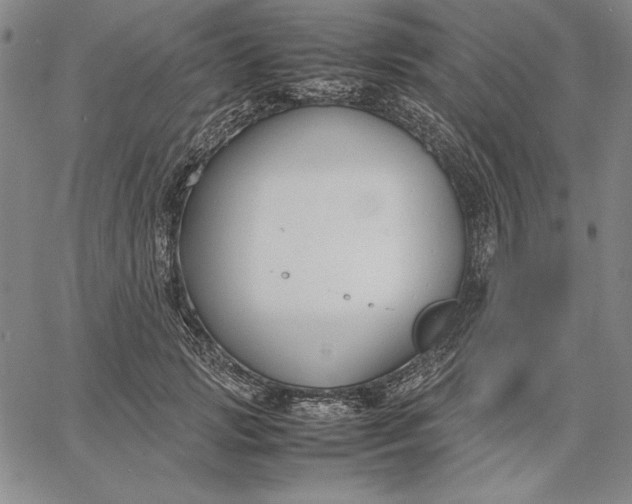 X0000067340749200604131725