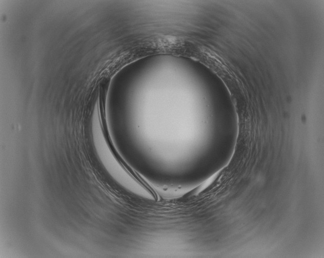 X0000067340750200604131725