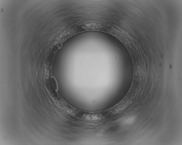 X0000067340751200604131725