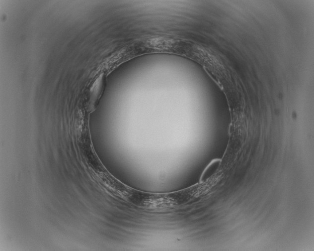 X0000067340752200604131725