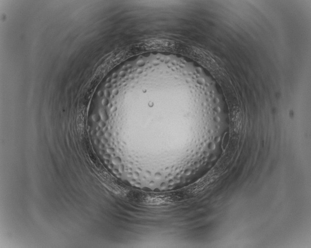 X0000067340753200604131725