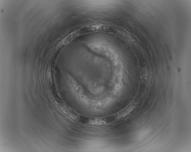 X0000067340754200604131725