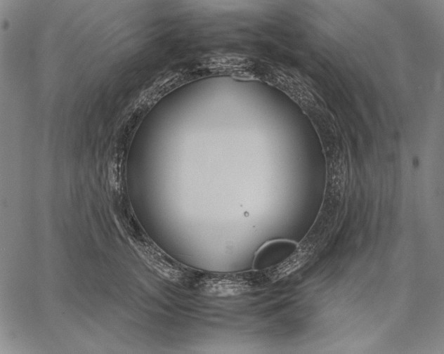 X0000067340755200604131725