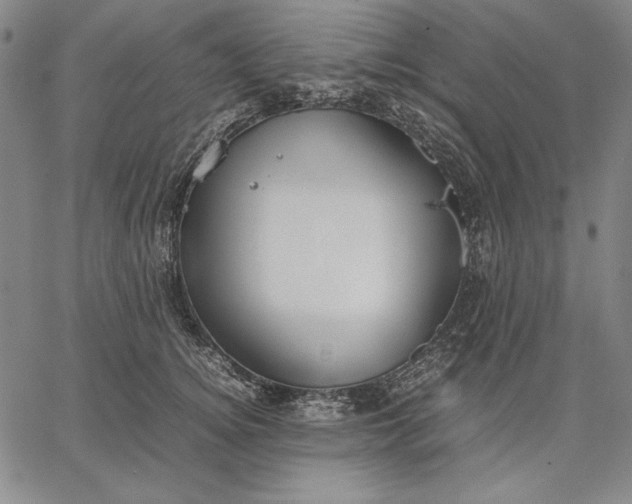 X0000067340756200604131725