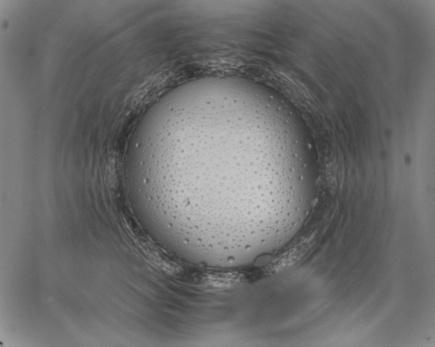 X0000067340757200604131725