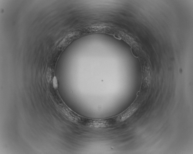 X0000067340758200604131725