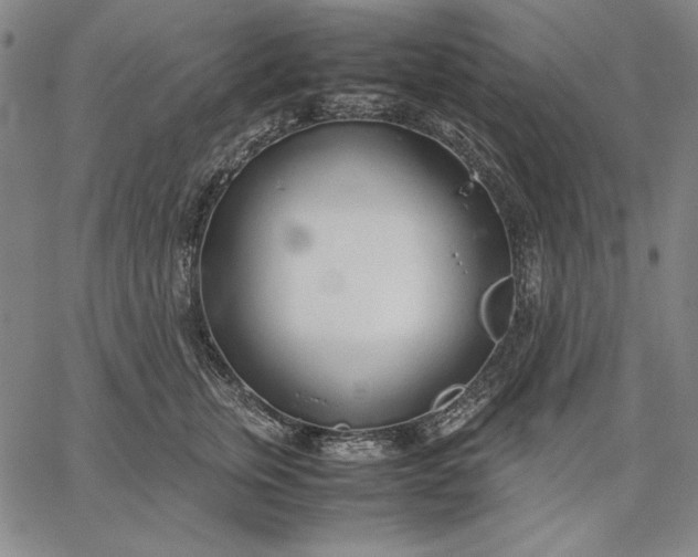 X0000067340759200604131725