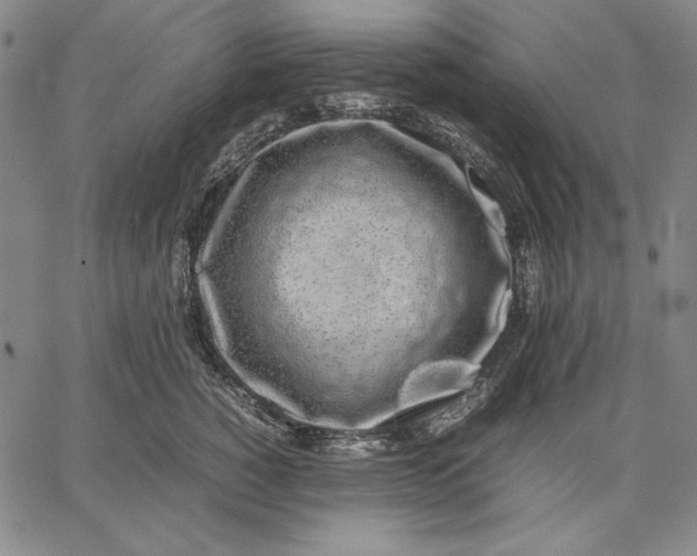 X0000067340760200604131725