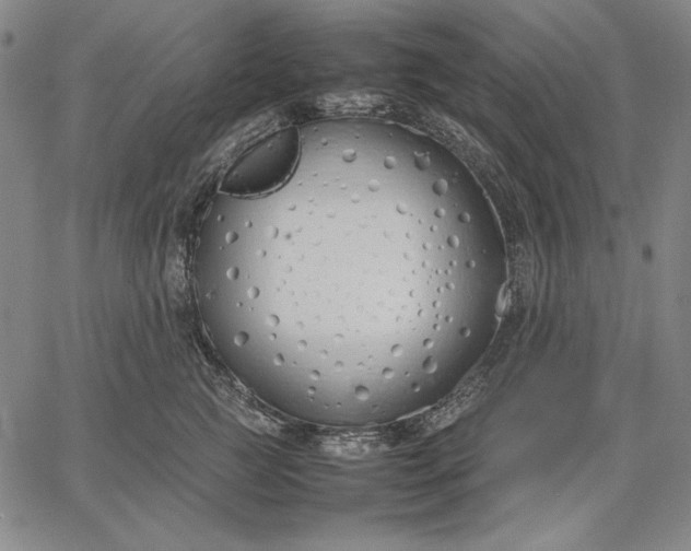 X0000067340761200604131725