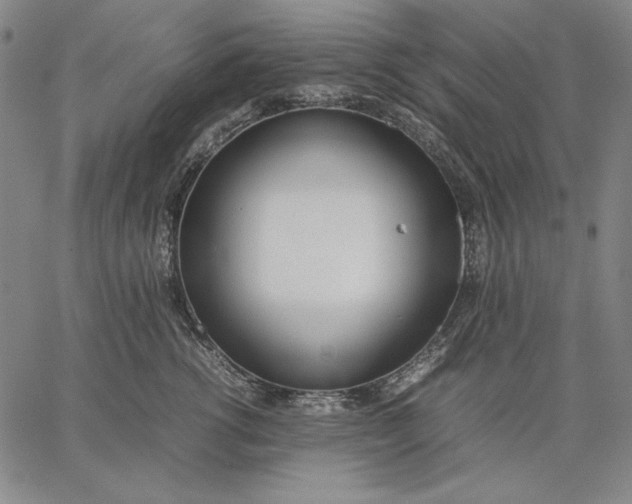 X0000067340762200604131725