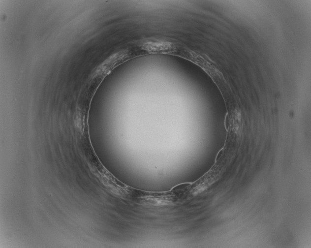 X0000067340763200604131725