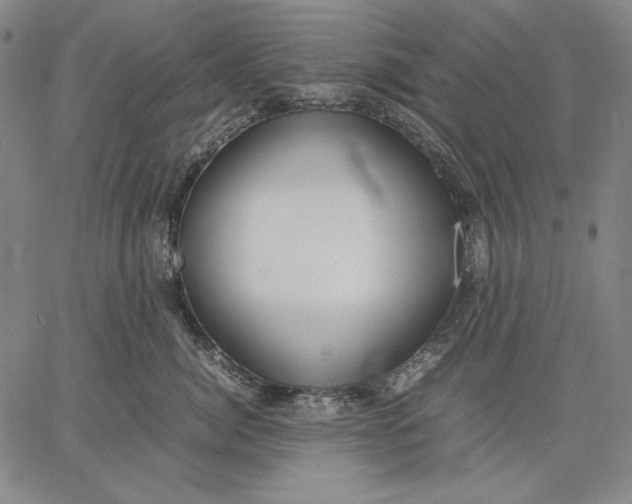 X0000067340764200604131725