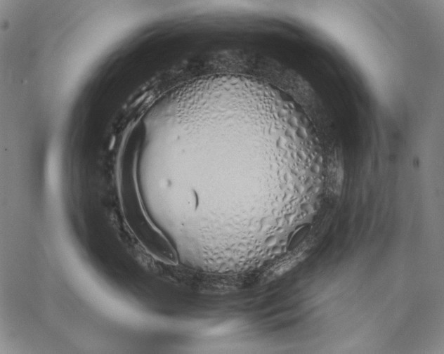 X0000067340765200604131725