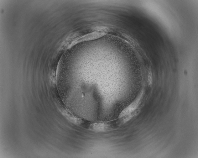 X0000067340766200604131725