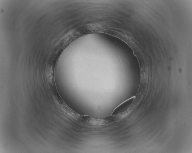 X0000067340767200604131725