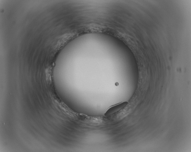 X0000067340768200604131726