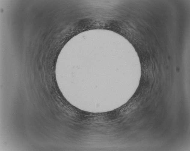 X0000067340769200604131725