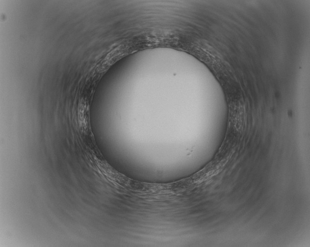 X0000067340770200604131725