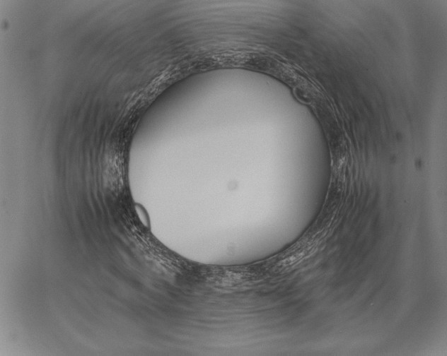 X0000067340772200604131725