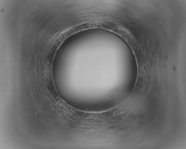 X0000067340773200604131725