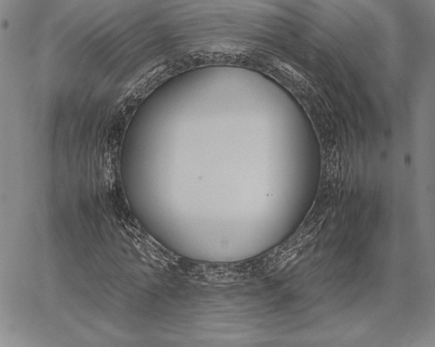 X0000067340774200604131725