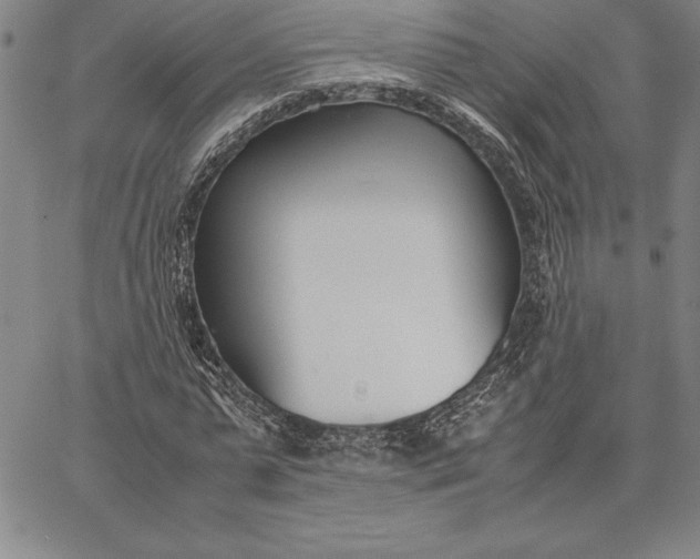 X0000067340775200604131725