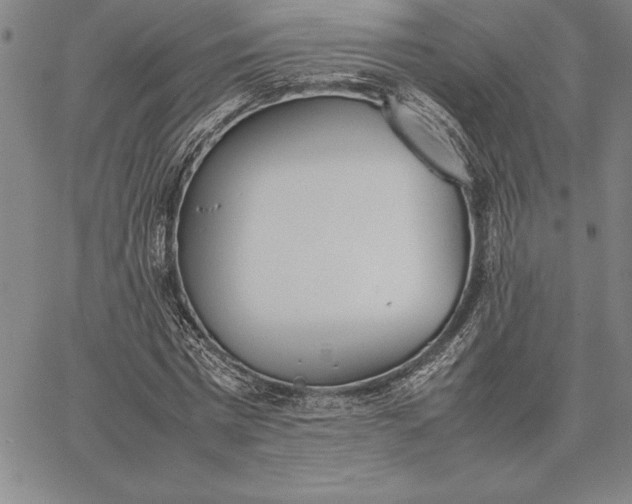 X0000067340777200604131725