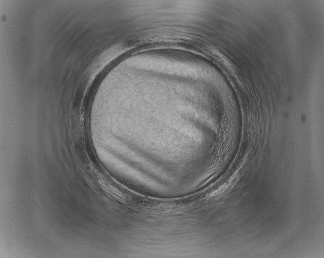 X0000067340779200604131725