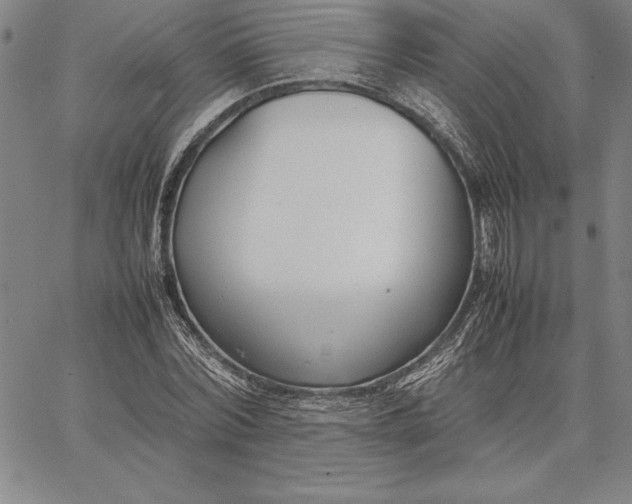 X0000067340780200604131725