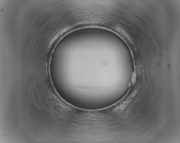 X0000067340781200604131725