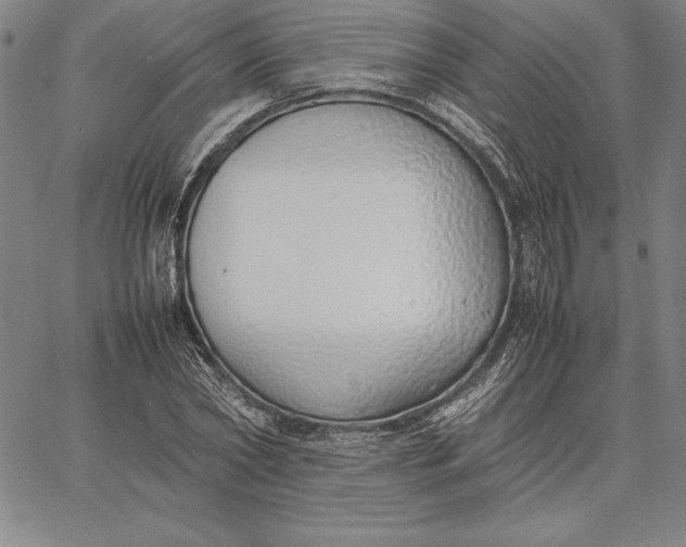 X0000067340782200604131725