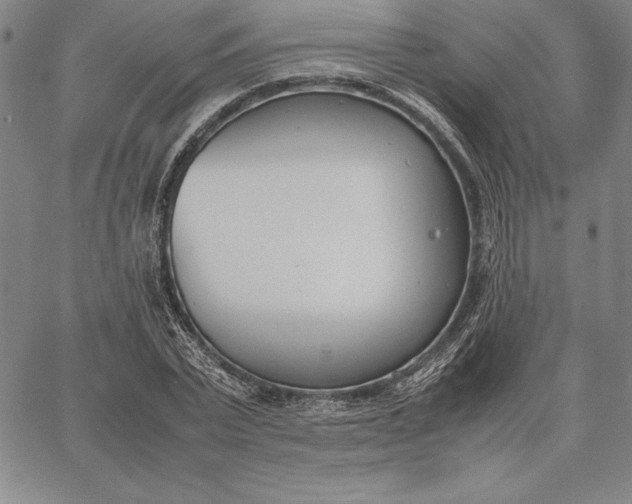 X0000067340783200604131725