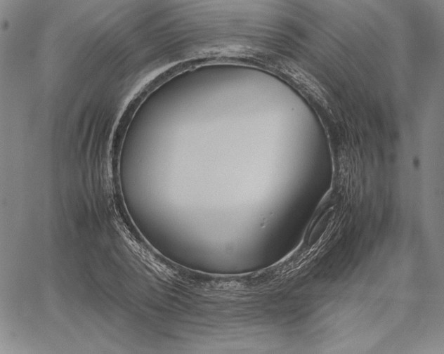 X0000067340784200604131724