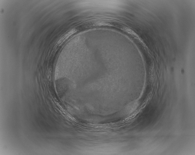 X0000067340785200604131724