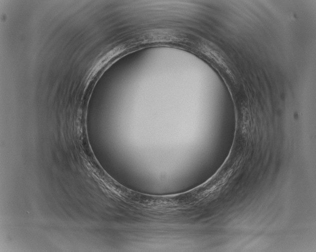 X0000067340786200604131724