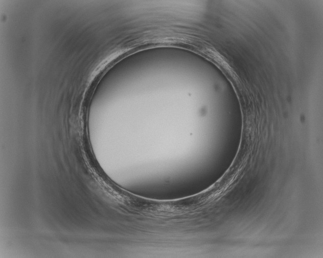 X0000067340787200604131724