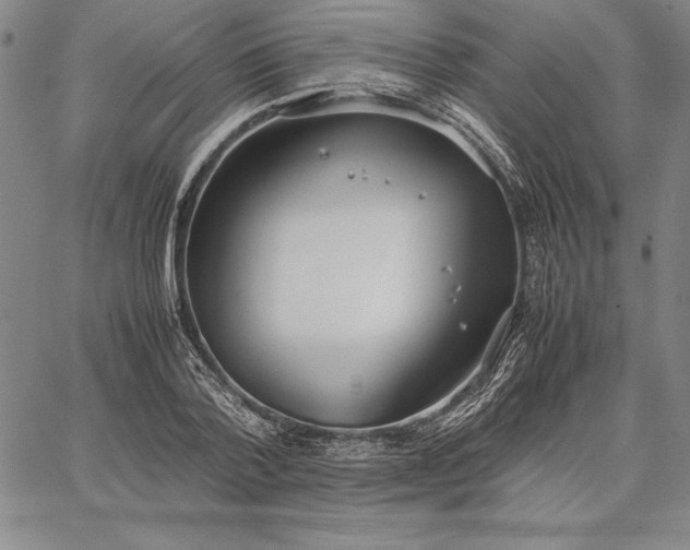 X0000067340788200604131724