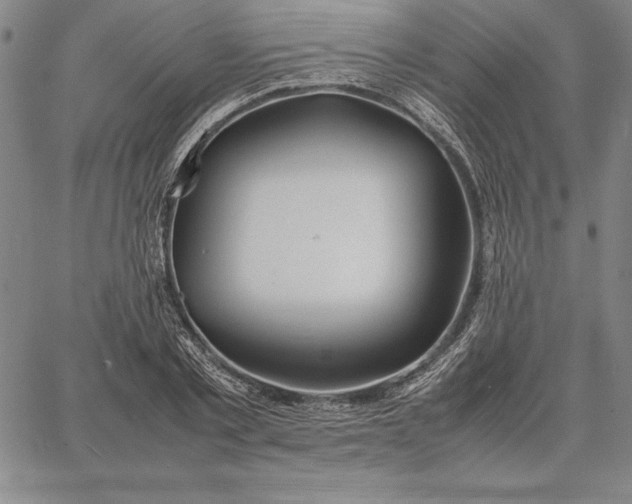 X0000067340789200604131724