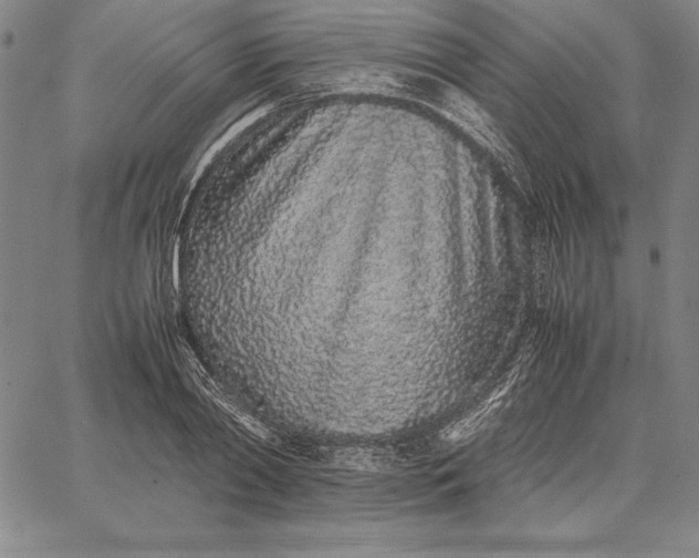 X0000067340790200604131724